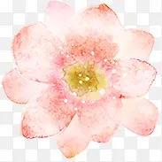 手绘浪漫粉色花朵装饰