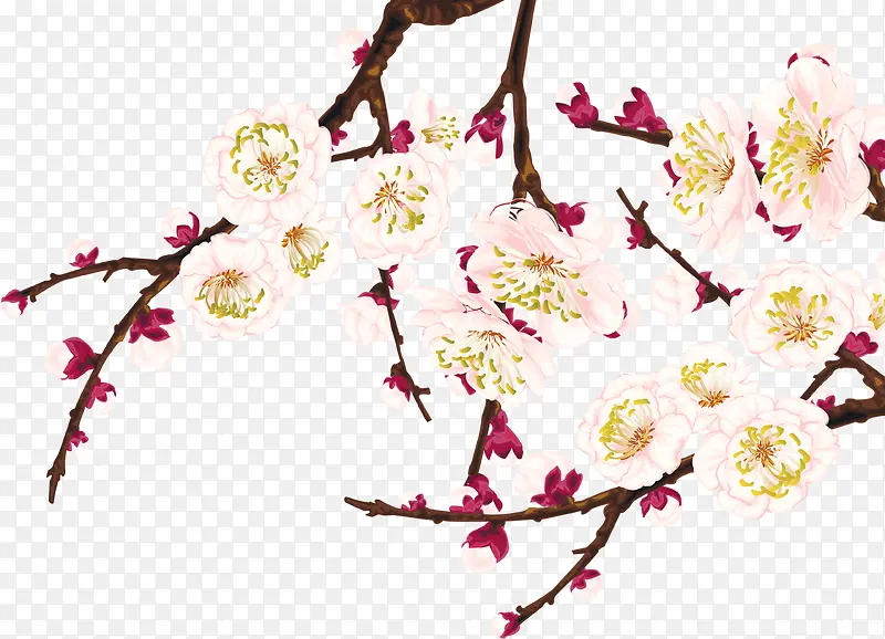 粉色手绘花朵树枝