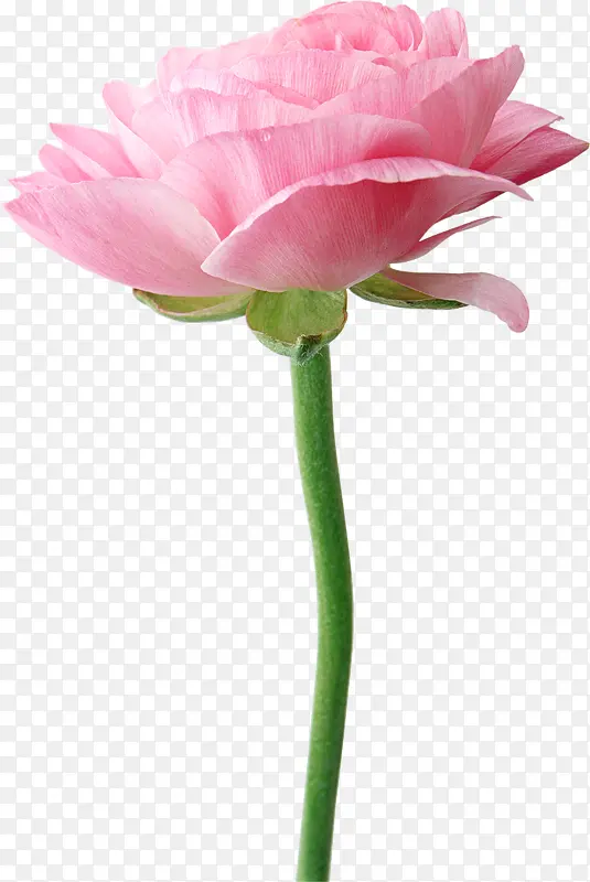 粉色分层创意花朵