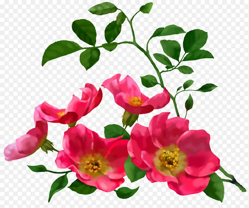 粉色清新花朵植物装饰