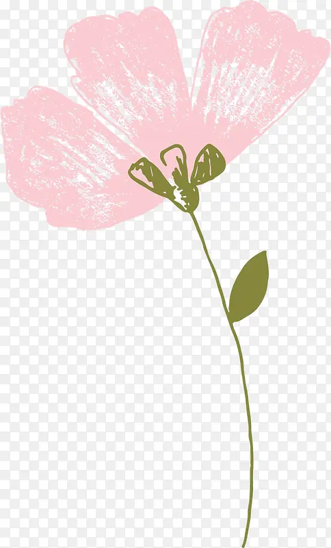 粉色水墨花朵植物