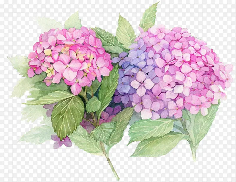 粉色创意设计春日花朵