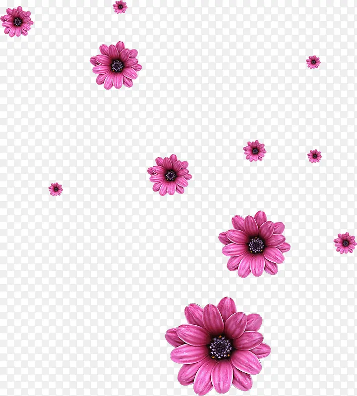 手绘漂浮粉色花朵装饰