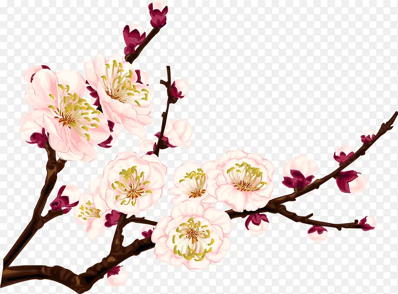 手绘粉色复古花朵树枝