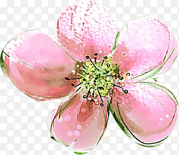 粉色卡通创意花朵手绘