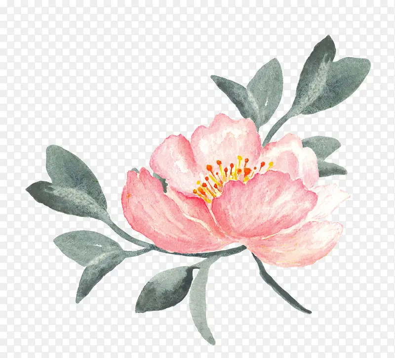 手绘粉色复古花朵植物