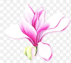 手绘水彩粉色可爱花朵