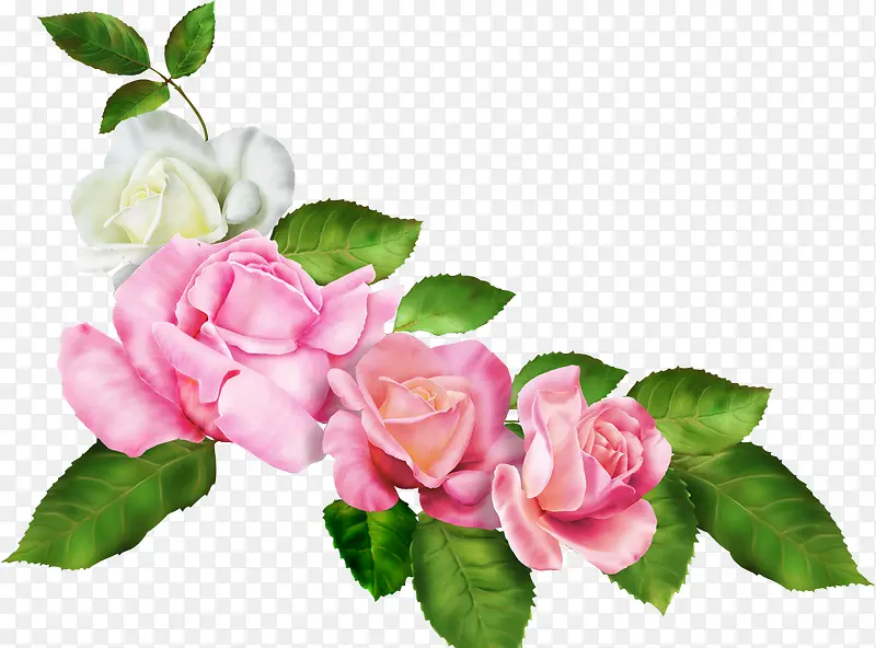 手绘粉色花朵艺术植物玫瑰