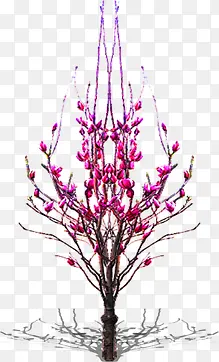 粉色梦幻花朵植物装饰