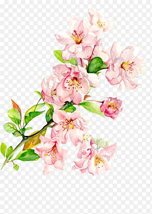 粉色个性时尚花朵