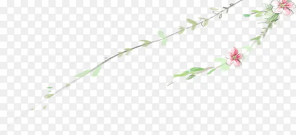 手绘树枝 小花png素材
