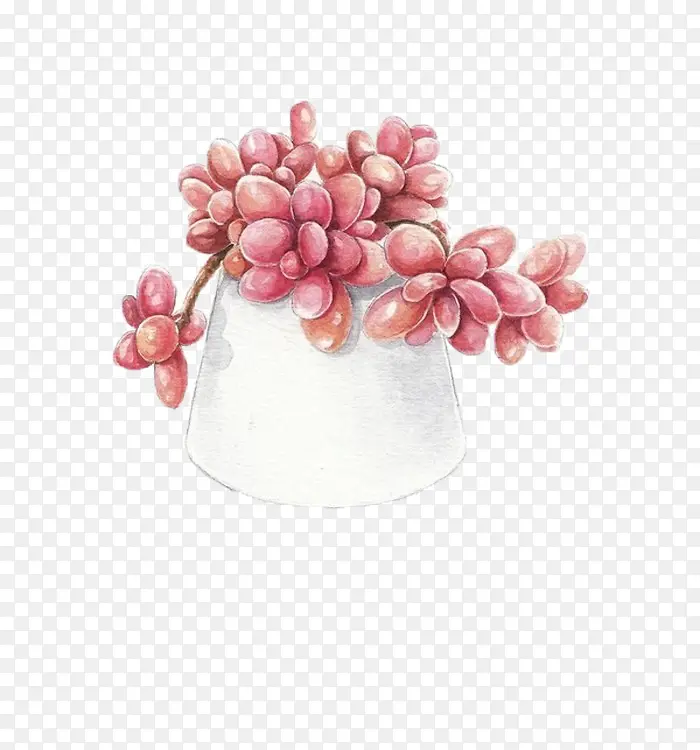 手绘植物PNG图片素材下载_图片编号ylbkarae-免抠素材网