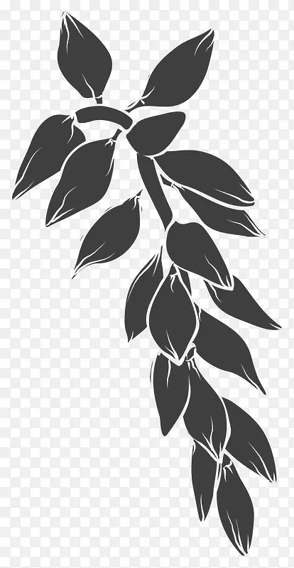 手绘植物图案