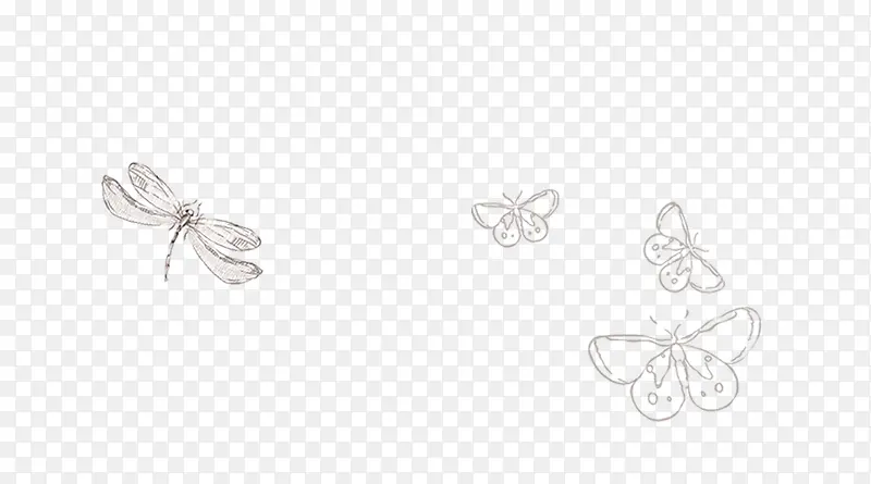 手绘简笔画蜻蜓与蝴蝶