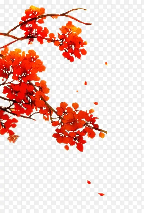 手绘复古红色花朵树枝