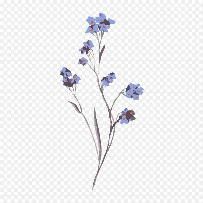 小清新水彩植物花朵插画