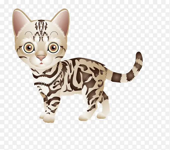 花猫