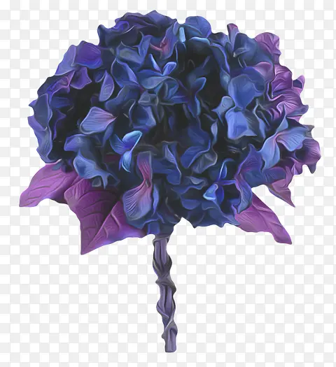 一束紫花