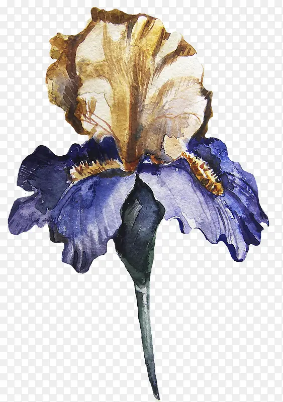 花卉
