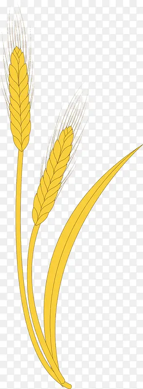 小麦麦穗手绘图