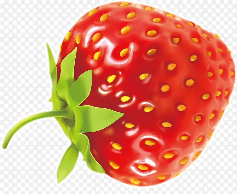 草莓装饰设计矢量