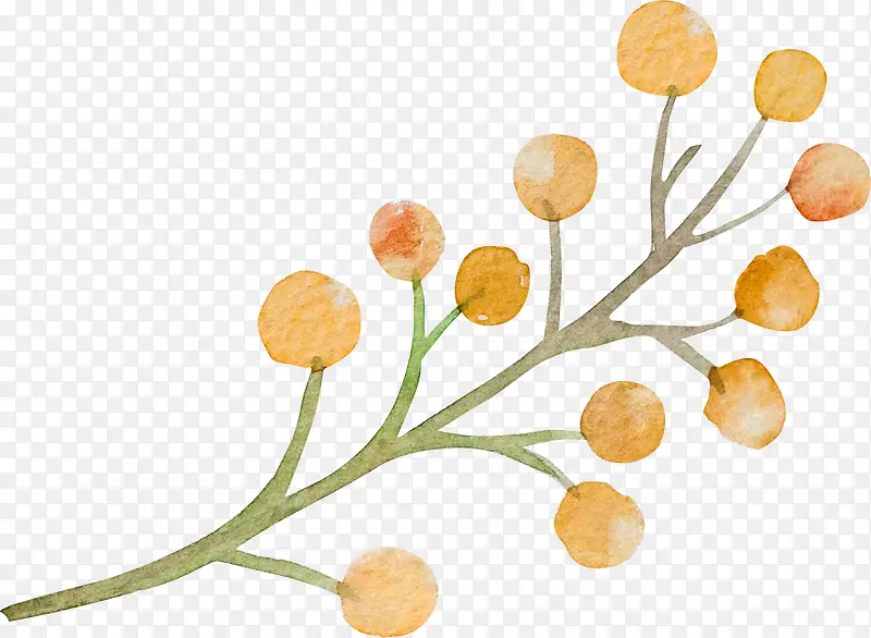 手绘植物
