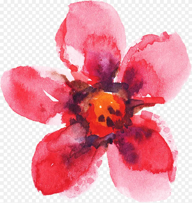 手绘花卉