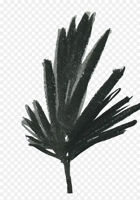 手绘植物