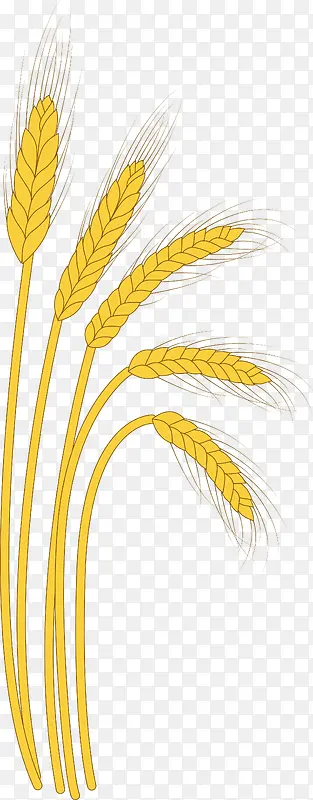 手绘小麦矢量图