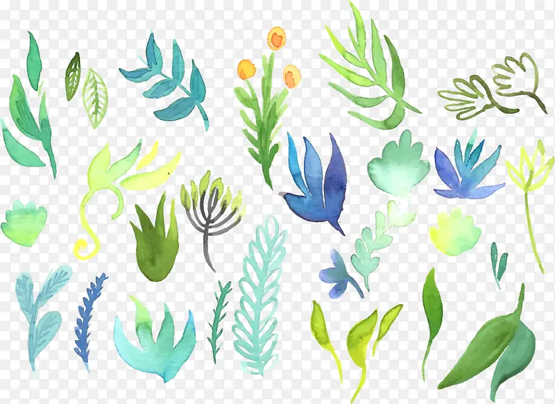 手绘水彩植物