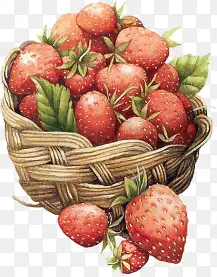 一筐新鲜的草莓