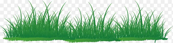 草地，绿色，草坪，淘宝素材