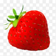 红色草莓植物水果