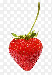 红色草莓装饰