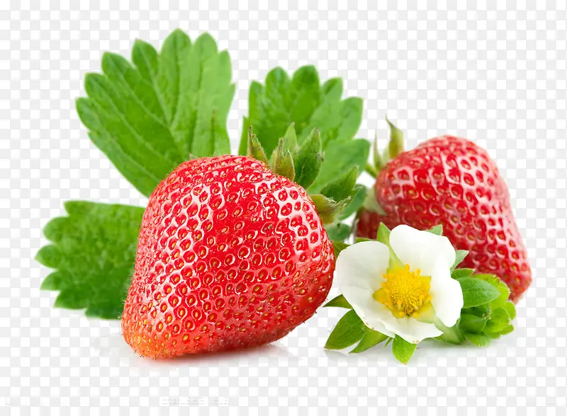 清新夏季新鲜草莓