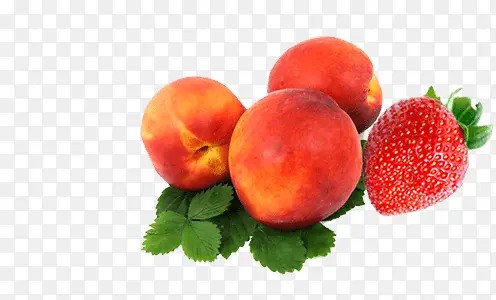 水果油桃草莓