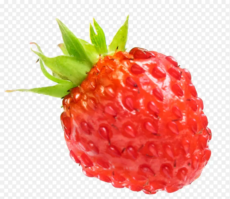 水珠草莓图片