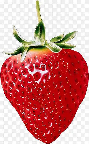 高清草莓 大草莓