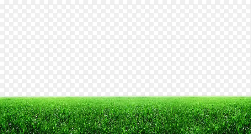 草地