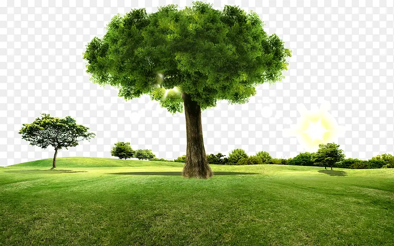 春天绿色树木草地公园