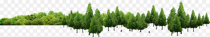 绿色清新大树树林植物
