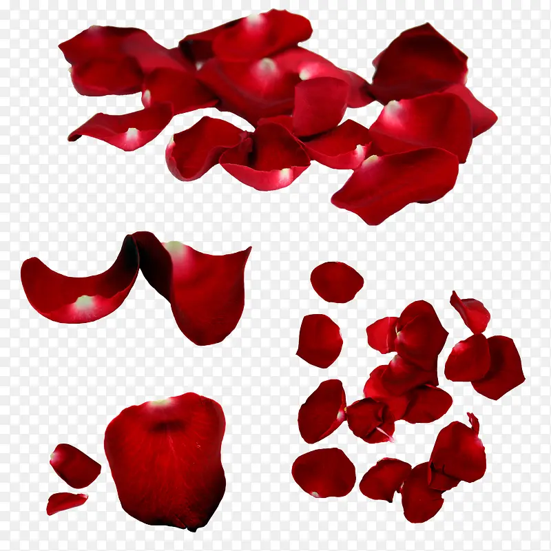 玫瑰花瓣