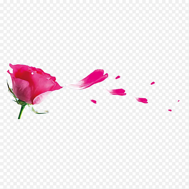 玫瑰花瓣