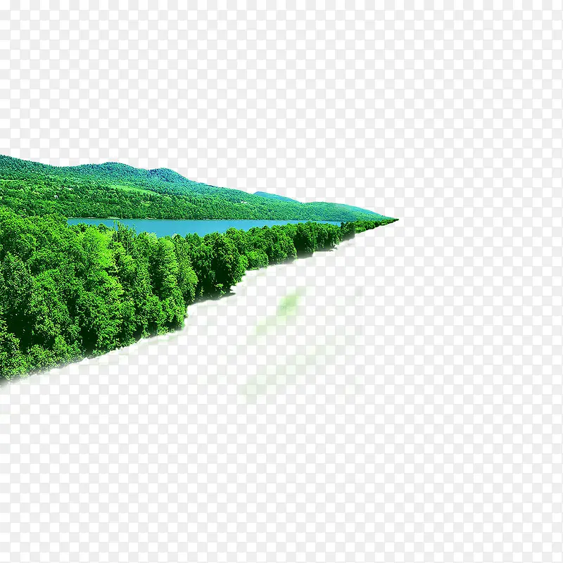 绿色树林风景