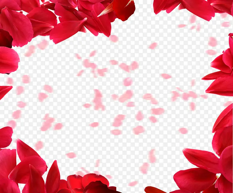 飞舞の  玫瑰花瓣