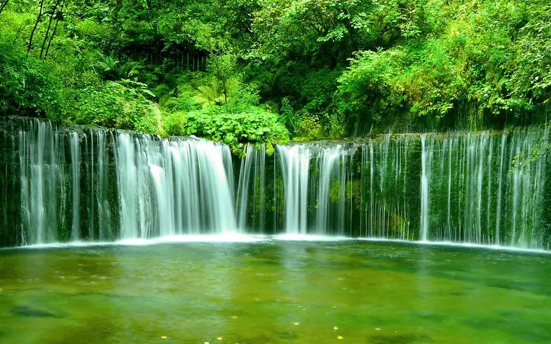 绿色树林里的瀑布风景