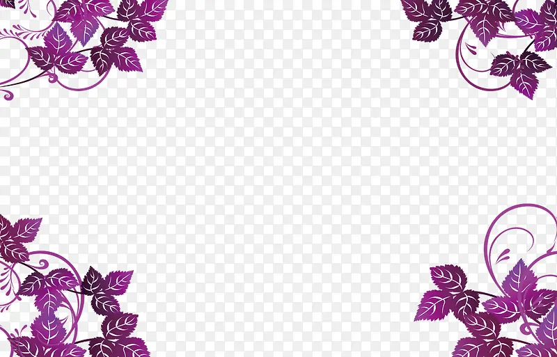 紫色边框花纹
