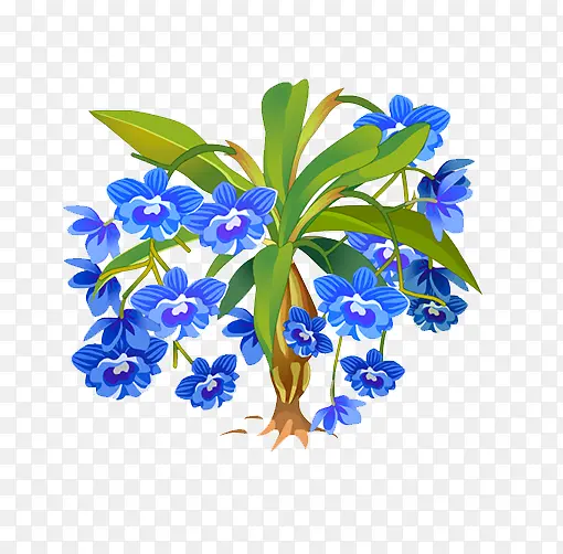 蓝花植物