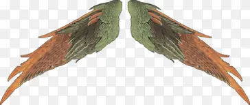 手绘红色炫酷翅膀PNG透明背景素材