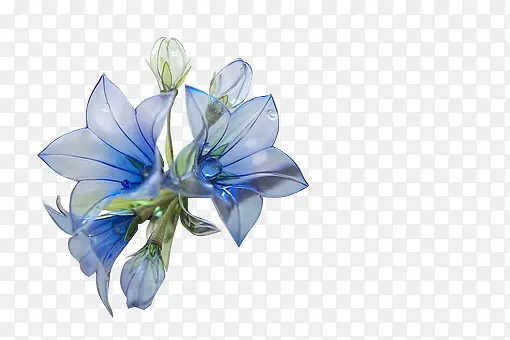 蓝色花透明花朵素材